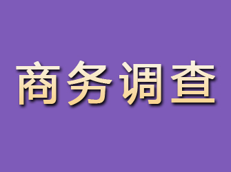 梅江商务调查